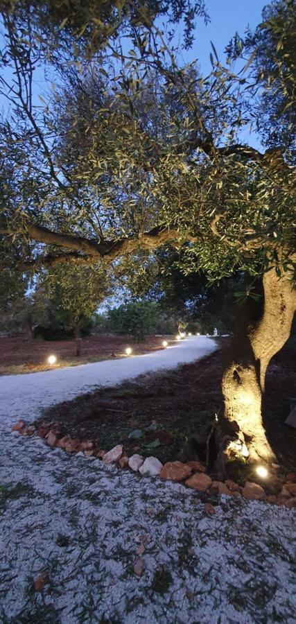 Willa La Perla Di Torre Guaceto Serranova Zewnętrze zdjęcie